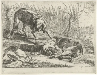 2匹の犬